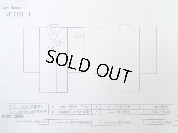 Photo20: J1223I Used Japanese Light  Wisteria FURISODE long-sleeved / Silk. Flower,   (Grade A) (20)