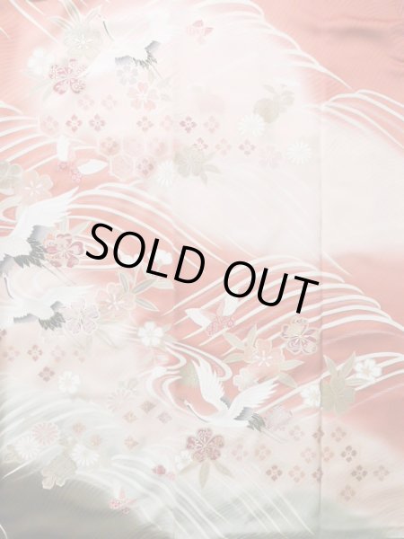 Photo6: J1225A Used Japanese Pale  Dark Red FURISODE long-sleeved / Silk. Chrysanthemum,   (Grade B) (6)
