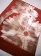 Photo1: JET0423I Used Japanese   Vermilion Cutting cloth    (Grade B) (1)