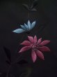 Photo4: K0630Y Used Japanese   Black HAORI short jacket / Silk. Flower,   (Grade C) (4)