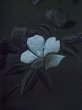 Photo6: K0707D Used Japanese   Black HAORI short jacket / Silk. Flower   (Grade C) (6)