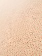 Photo9: K0728F Used Japanese   Cream KOMON dyed / Silk. Flower,   (Grade B) (9)