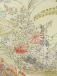 Photo7: K0804M Used Japanese   Off White KOMON dyed / Silk. Chrysanthemum,   (Grade C) (7)