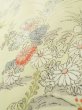 Photo12: K0804M Used Japanese   Off White KOMON dyed / Silk. Chrysanthemum,   (Grade C) (12)