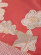 Photo8: K1117I Used Japanese Pale  Orange HOUMONGI formal / Silk. Flower,   (Grade D) (8)