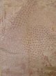 Photo3: K1204B Used Japanese women  White MICHIYUKI outer coat / Silk. Flower,   (Grade C) (3)