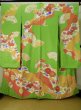 Photo2: K1222E Used Japanese womenPale  Yellowish Green FURISODE long-sleeved / Silk. Chrysanthemum,   (Grade C) (2)