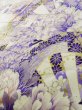 Photo10: K1222L Used Japanese women  Wisteria FURISODE long-sleeved / Silk. Peony,   (Grade B) (10)