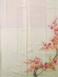 Photo5: L0204A Used Japanese women  White TOMESODE formal / Silk. UME plum bloom,   (Grade C) (5)