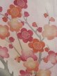 Photo6: L0204A Used Japanese women  White TOMESODE formal / Silk. UME plum bloom,   (Grade C) (6)