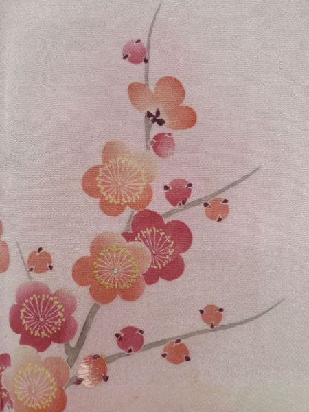 Photo7: L0204A Used Japanese women  White TOMESODE formal / Silk. UME plum bloom,   (Grade C) (7)