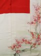 Photo16: L0204A Used Japanese women  White TOMESODE formal / Silk. UME plum bloom,   (Grade C) (16)