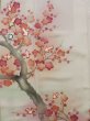 Photo23: L0204A Used Japanese women  White TOMESODE formal / Silk. UME plum bloom,   (Grade C) (23)