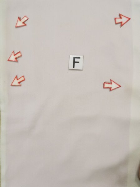 Photo25: L0204A Used Japanese women  White TOMESODE formal / Silk. UME plum bloom,   (Grade C) (25)