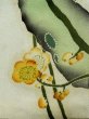 Photo9: L0204B Used Japanese womenLight Sharbet Teal TOMESODE formal / Silk. UME plum bloom   (Grade D) (9)
