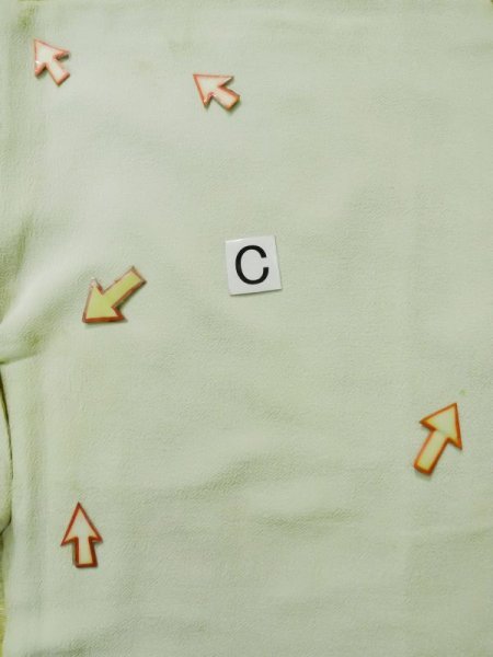 Photo22: L0204B Used Japanese womenLight Sharbet Teal TOMESODE formal / Silk. UME plum bloom   (Grade D) (22)