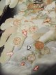 Photo22: L0204E Used Japanese women  Black TOMESODE formal / Silk. Chrysanthemum,   (Grade B) (22)