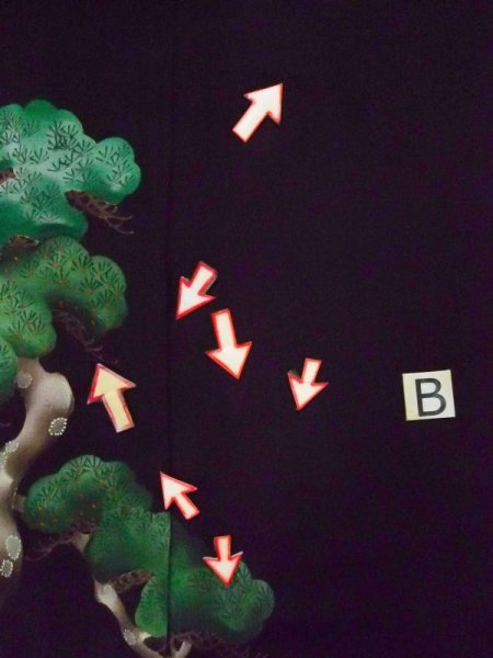 Photo20: L0204G Used Japanese women  Black TOMESODE formal / Silk. Pine tree/branch/needle   (Grade C) (20)