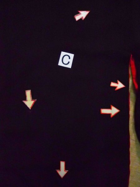 Photo21: L0204G Used Japanese women  Black TOMESODE formal / Silk. Pine tree/branch/needle   (Grade C) (21)