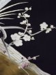 Photo9: L0204I Used Japanese women  Black TOMESODE formal / Silk. UME plum bloom, Mist pattern, Japanese pheasant motif  (Grade B) (9)
