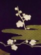 Photo10: L0204I Used Japanese women  Black TOMESODE formal / Silk. UME plum bloom, Mist pattern, Japanese pheasant motif  (Grade B) (10)