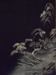 Photo14: L0204J Used Japanese women  Black TOMESODE formal / Silk. Pine tree/branch/needle,   (Grade D) (14)