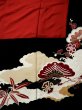 Photo20: L0204M Used Japanese women  Black FURISODE long-sleeved / Silk. UME plum bloom,   (Grade C) (20)