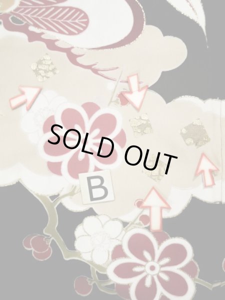 Photo24: L0204M Used Japanese women  Black FURISODE long-sleeved / Silk. UME plum bloom,   (Grade C) (24)