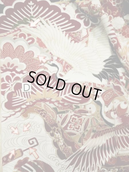 Photo26: L0204M Used Japanese women  Black FURISODE long-sleeved / Silk. UME plum bloom,   (Grade C) (26)