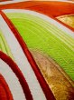 Photo11: L0218X Vintage Japanese Kimono   Gold FUKURO OBI sash Abstract pattern Silk. (11)