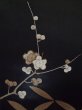 Photo12: L0316B Used Japanese women  Black TOMESODE formal / Silk. SAKURA cherry blossom,   (Grade D) (12)