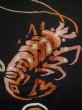 Photo7: L0316C Used Japanese women  Black TOMESODE formal / Silk.  motif: Japanese spiny lobster(rare design), Kotobuki(kanji)  (Grade B) (7)