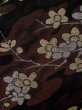 Photo10: L0324B Used Japanese women  Black HAORI short jacket / Silk. Chrysanthemum,   (Grade C) (10)