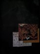 Photo6: L0324N Used Japanese women  Black HAORI short jacket / Silk. Landscape,   (Grade B) (6)