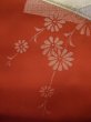 Photo7: L0518B Vintage Japanese Kimono   Vermilion NAGOYA OBI sash Chrysanthemum Silk. (7)