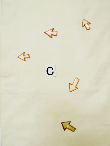 Photo13: L0518N Vintage Japanese Kimono   Off White FUKURO OBI sash Leaf Silk. (13)