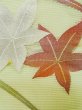 Photo6: L0706W Vintage Japanese Kimono Pale Light Teal NAGOYA OBI sash MOMIJI maple leaf Silk. (Grade A) (6)