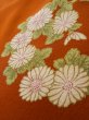 Photo12: L0727H Used Japanese women  Blue FURISODE long-sleeved / Silk. SAKURA cherry blossom,   (Grade C) (12)