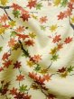 Photo13: L1116N Used Japanese women  Ivory KOMON dyed / Silk. MOMIJI maple leaf   (Grade A) (13)