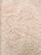 Photo3: L1116Y Used Japanese womenPale Light Pink KOMON dyed / Silk. Flower   (Grade C) (3)