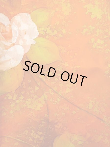 Photo3: Mint L1201W Used Japanese women  Orange KOMON dyed / Silk. Rose,   (Grade A) (3)