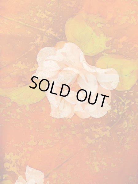 Photo4: Mint L1201W Used Japanese women  Orange KOMON dyed / Silk. Rose,   (Grade A) (4)