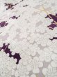 Photo9: M0131T Used Japanese women Dark Purple KOMON dyed / Silk. UME plum bloom   (Grade A) (9)