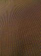 Photo7: M0301Y Used Japanese men  Brown Men's Kimono / Silk. Stripes padding inside  (Grade D) (7)