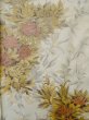 Photo4: M0315U Used Japanese women  Ivory ORI woven / Silk. Rose,   (Grade C) (4)