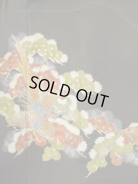 Photo5: M0328A Used Japanese women  Black TOMESODE formal / Silk. Pine tree/branch/needle,   (Grade C) (5)