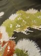 Photo11: M0328A Used Japanese women  Black TOMESODE formal / Silk. Pine tree/branch/needle,   (Grade C) (11)