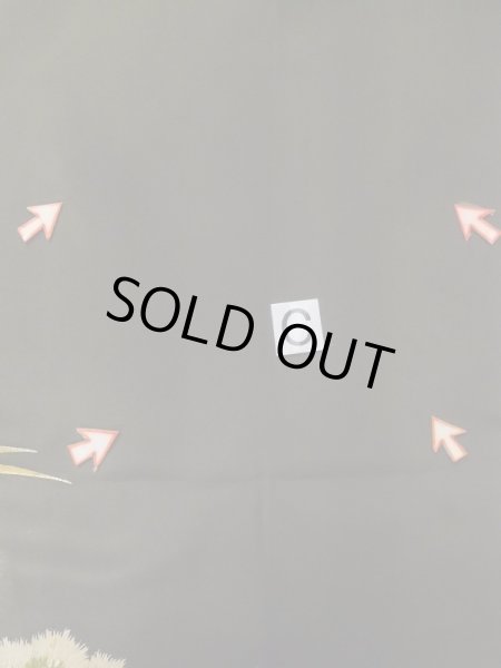 Photo20: M0328A Used Japanese women  Black TOMESODE formal / Silk. Pine tree/branch/needle,   (Grade C) (20)