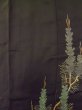 Photo5: M0328D Used Japanese women  Black TOMESODE formal / Silk. Pine tree/branch/needle padding in the hem  (Grade D) (5)