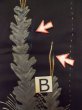 Photo16: M0328D Used Japanese women  Black TOMESODE formal / Silk. Pine tree/branch/needle padding in the hem  (Grade D) (16)
